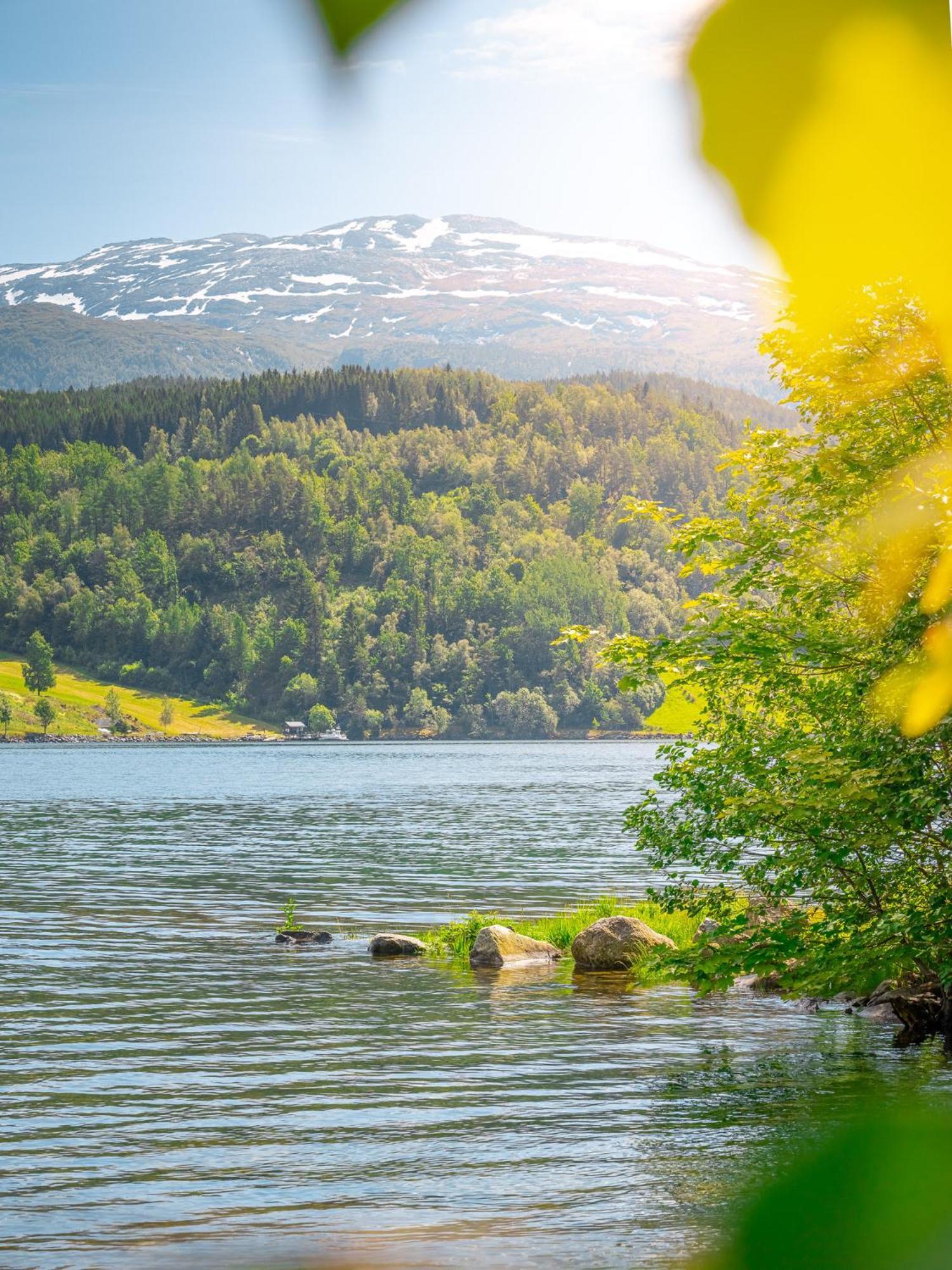Ulvik Camping المظهر الخارجي الصورة
